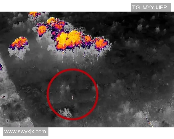 探索DOTA2巨献中BLG战队的默契配合与战术策略分析实时新闻